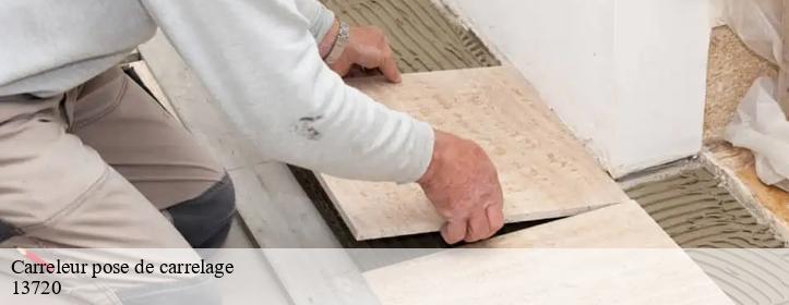 Carreleur pose de carrelage  13720