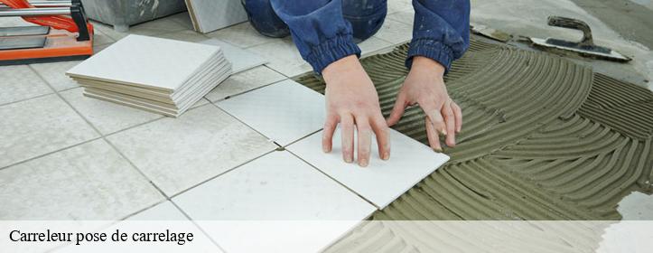 Carreleur pose de carrelage  13720