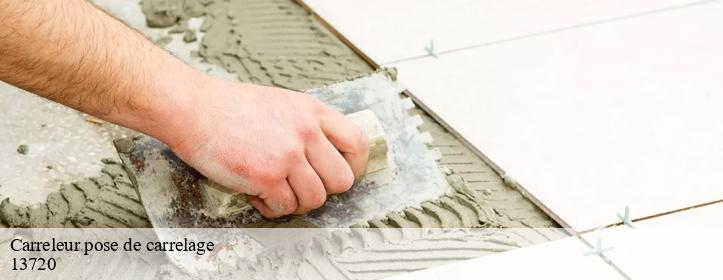 Carreleur pose de carrelage  13720